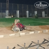 фото из отзыва ID 2743810