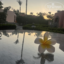 фото из отзыва ID 2743823