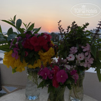 фото из отзыва ID 2743812