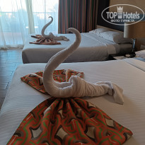 фото из отзыва ID 2743867