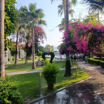 фото из отзыва ID 2741895