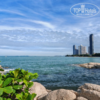 фото из отзыва ID 2743913