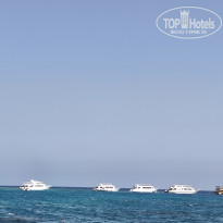 фото из отзыва ID 2743890