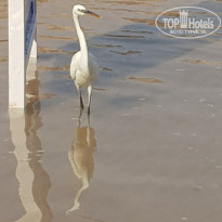 фото из отзыва ID 2743890