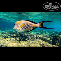 фото из отзыва ID 2743890