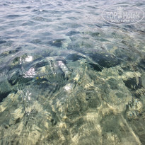 фото из отзыва ID 2743932