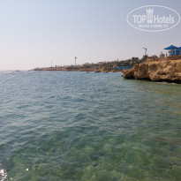 фото из отзыва ID 2743932