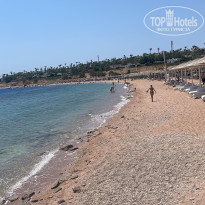 фото из отзыва ID 2743949