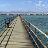 фото из отзыва ID 2743956