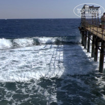 фото из отзыва ID 2743956