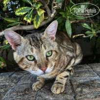 фото из отзыва ID 2744023