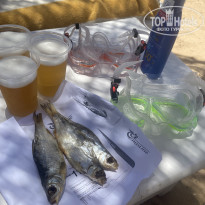 фото из отзыва ID 2744023