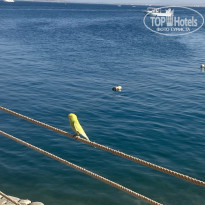 фото из отзыва ID 2744023