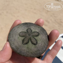 фото из отзыва ID 2744023