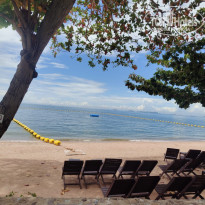 фото из отзыва ID 2744024