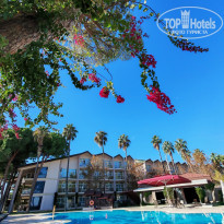 фото из отзыва ID 2744027