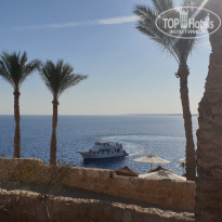 фото из отзыва ID 2744015