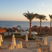 фото из отзыва ID 2744015