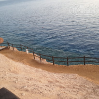 фото из отзыва ID 2744015