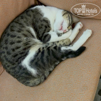 фото из отзыва ID 2744042