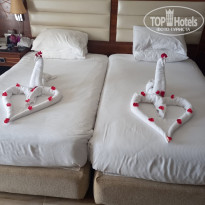 фото из отзыва ID 2744040