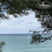 фото из отзыва ID 2744044