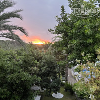 фото из отзыва ID 2744044