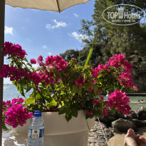 фото из отзыва ID 2744044