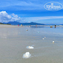 фото из отзыва ID 2744084