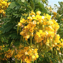 фото из отзыва ID 2744099