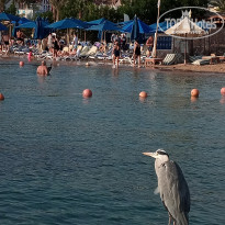 фото из отзыва ID 2744099