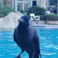 фото из отзыва ID 2744107