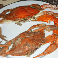 фото из отзыва ID 2744107