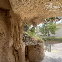 фото из отзыва ID 2744108