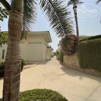 фото из отзыва ID 2744108