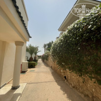 фото из отзыва ID 2744108