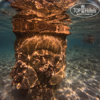 фото из отзыва ID 2744147