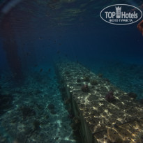 фото из отзыва ID 2744147