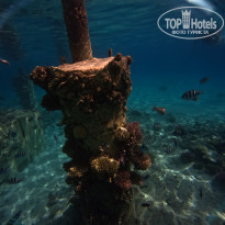 фото из отзыва ID 2744147