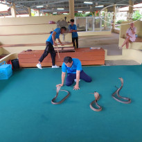 фото из отзыва ID 2744207