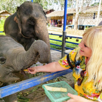 фото из отзыва ID 2744207