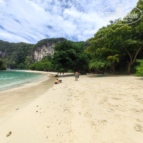 фото из отзыва ID 2744207