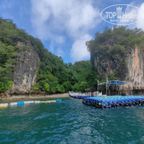 фото из отзыва ID 2744207