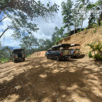 фото из отзыва ID 2744207