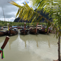 фото из отзыва ID 2744207