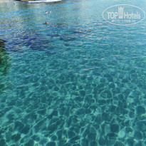 фото из отзыва ID 2744211