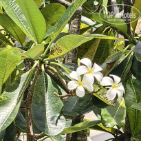 фото из отзыва ID 2744207