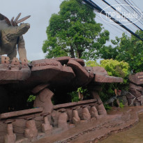 фото из отзыва ID 2744207