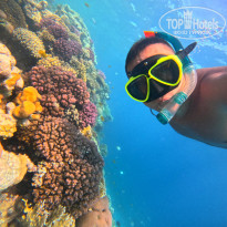 фото из отзыва ID 2744107