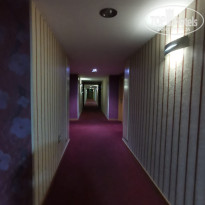 фото из отзыва ID 2744222